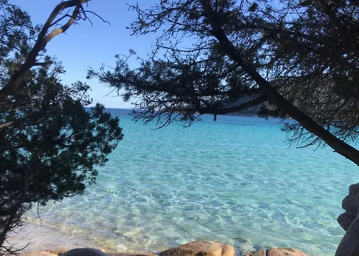 Proche Des Plages 维琪奥港