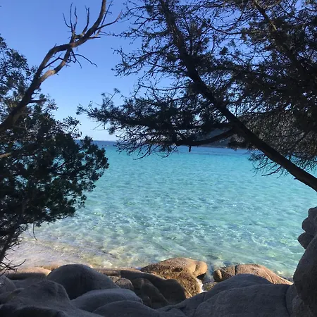 Proche Des Plages Porto-Vecchio (Corsica)